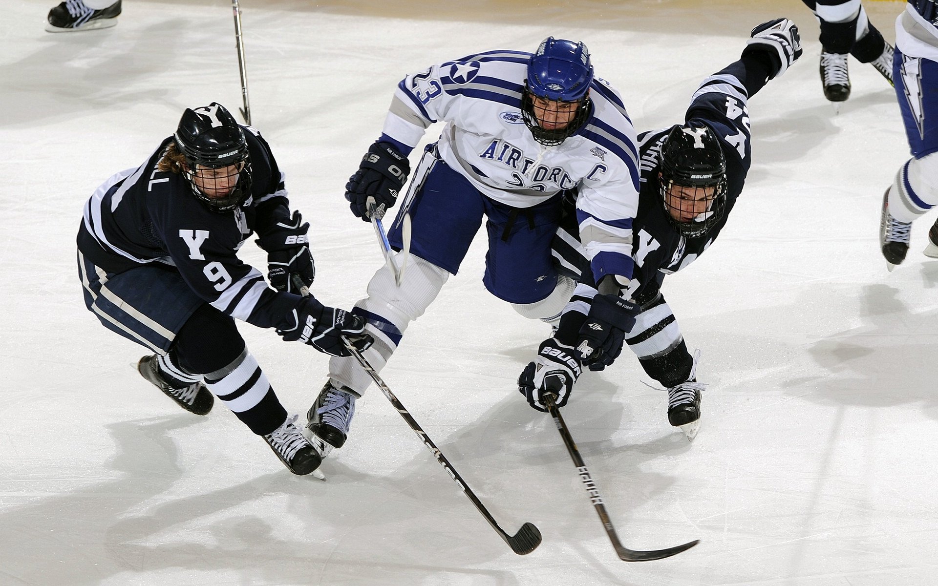 公牛球队球员体能储备充沛