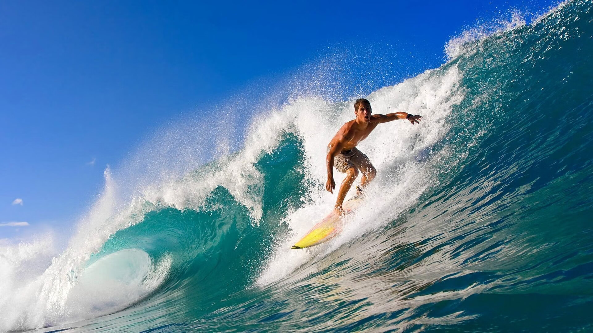 开云ios-数字化青训“智慧平台”成为行业标配，提升青训国际竞争力，数字青少年宫首页